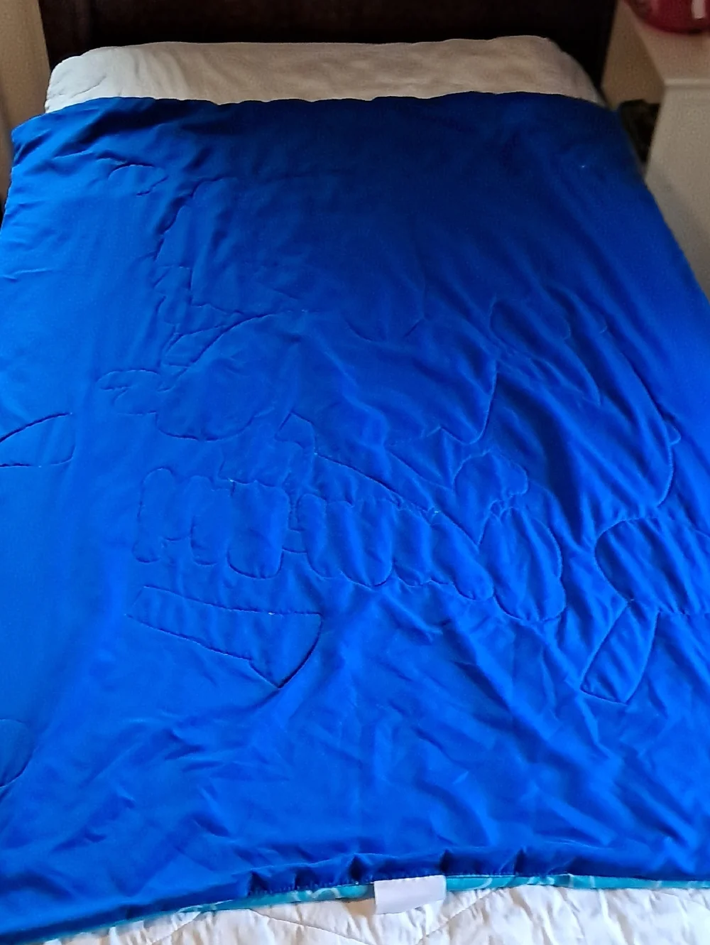 Vintage Scooby Doo & Shaggy Twin Quilted & Reversible Kids